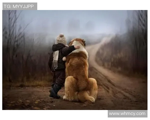 足球明星与豹子亲密合影展现野性魅力与运动精神的完美结合 足球明星与豹子亲密合影展现野性魅力与运动精神的完美结合