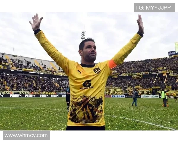 波特诺与索尔美洲激战在即谁将赢得这场南美足球盛宴 波特诺与索尔美洲激战在即谁将赢得这场南美足球盛宴