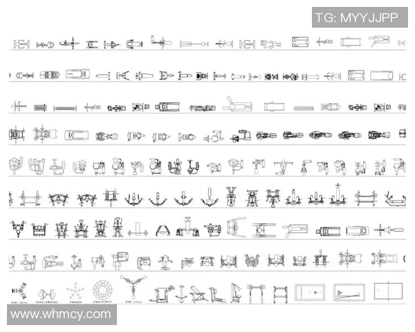 全面解析健身器材使用说明助你科学健身提升效果的实用指南