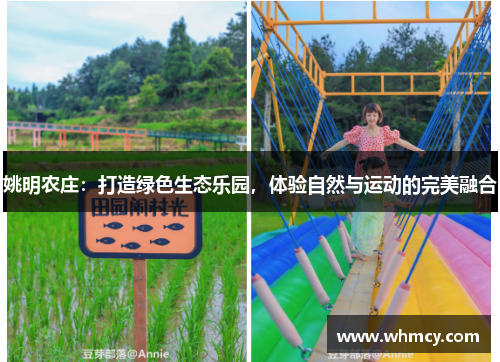 姚明农庄：打造绿色生态乐园，体验自然与运动的完美融合