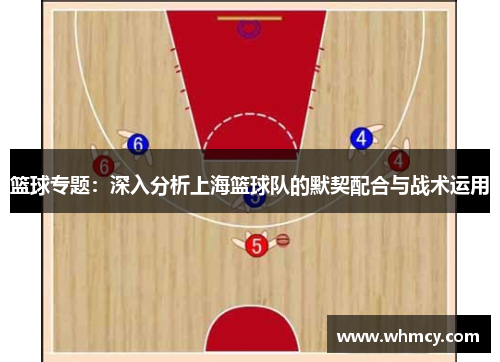 篮球专题：深入分析上海篮球队的默契配合与战术运用