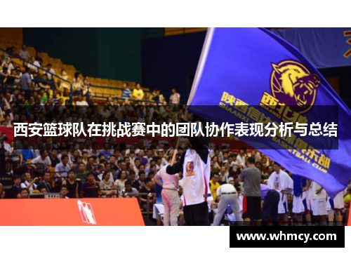 西安篮球队在挑战赛中的团队协作表现分析与总结