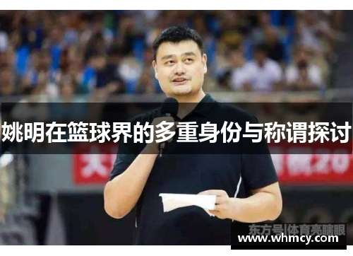 姚明在篮球界的多重身份与称谓探讨