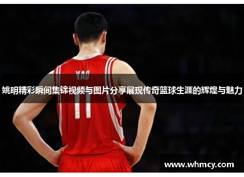姚明精彩瞬间集锦视频与图片分享展现传奇篮球生涯的辉煌与魅力