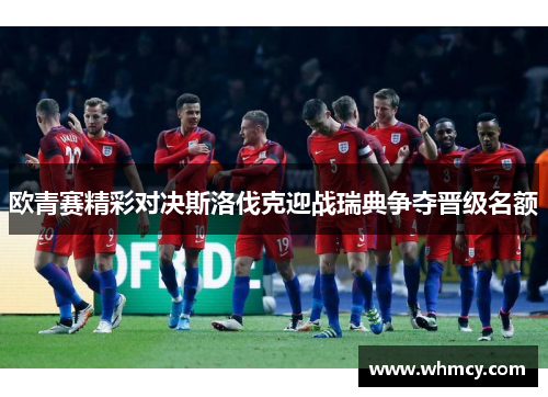 欧青赛精彩对决斯洛伐克迎战瑞典争夺晋级名额