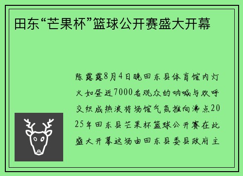 田东“芒果杯”篮球公开赛盛大开幕